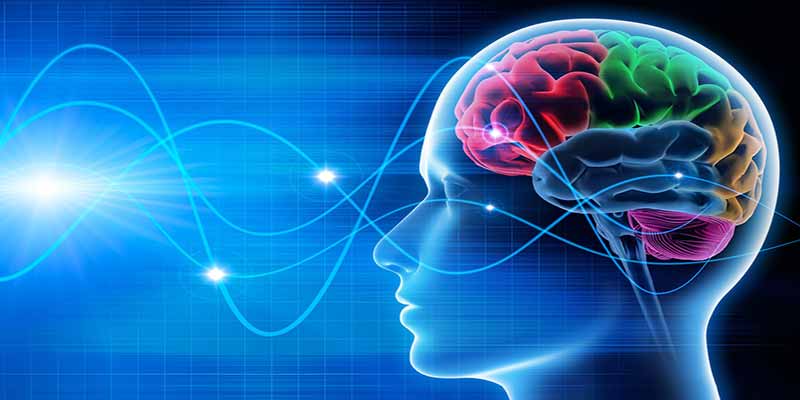 neurofeedback dinamico non lineare