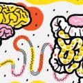 Psicobiotica: intestino e salute mentale