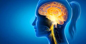 La teoria polivagale nella psicoterapia cognitivo comportamentale