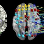 Cambiamenti neurologici psicoterapia del disturbo ossessivo compulsivo